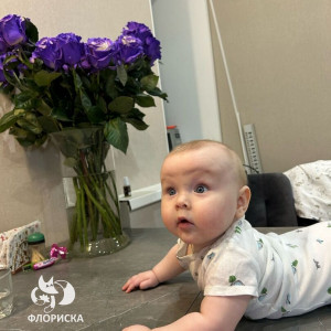 423c726b-c22c-48ae-9e7b-461946ea1c4b