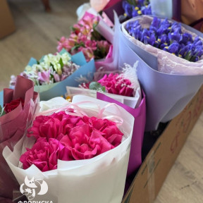 b6bb893f-0848-44d7-875f-4ca9eef7d709