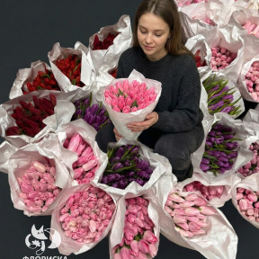 photo_2026-02-17_11-33-08