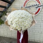 Букет из 51 белой хризантемы  &laquo;Белая зайка&raquo;