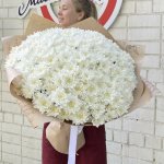 Букет из 51 белой хризантемы  &laquo;Белая зайка&raquo;