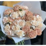 Букет из 21 кремового диантуса &laquo;Крем-брюле&raquo;