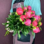 Пион &laquo;Корал шарм&raquo;