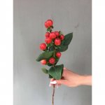 Зелень &laquo;Гиперикум&raquo;