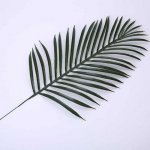 Зелень &laquo;Пальма&raquo;