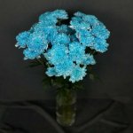 Хризантема кустовая &laquo;Синяя&raquo;