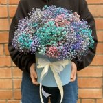 Гипсофила в коробке  &laquo;Туча&raquo;