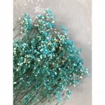 Гипсофила &laquo;Бирюзовая&raquo;