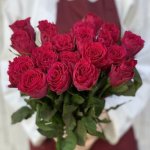 Роза &laquo;Красная кения&raquo;