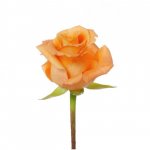 Роза &laquo;Кхала&raquo;