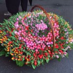 Букет с тюльпанами &laquo;Мега&raquo;