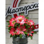 Букет искусственный &laquo;&lrm;Лилия&raquo;