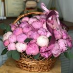 Пионы в корзине &laquo;Популярный&raquo;