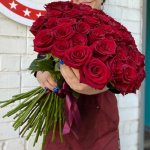71 красная роза &laquo;Величественная&raquo;