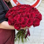 71 красная роза &laquo;Величественная&raquo;