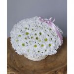 Цветы в корзине &laquo;Снежинка&raquo;