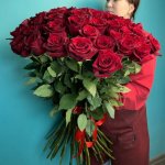  51 высокая роза &laquo;Королевский&raquo;