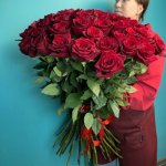  51 высокая роза &laquo;Королевский&raquo;