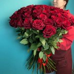  51 высокая роза &laquo;Королевский&raquo;