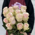 Роза &laquo;Фрутета&raquo;