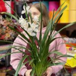 Цимбидиум &laquo;Белый&raquo;