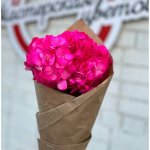 Гортензия  &laquo;Малиновая&raquo;