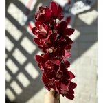 Орхидея &laquo;Бордовая&raquo;