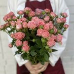 Кустовая роза &laquo;Амур&raquo;