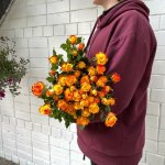 Кустовая роза &laquo;Огонь&raquo;