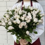 Кустовая роза &laquo;Белая&raquo;