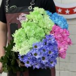 Хризантема кустовая &laquo;Микс&raquo;