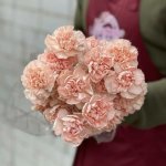 Гвоздика &laquo;Нежно - розовая&raquo;