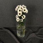 Сантини &laquo;Белая&raquo;