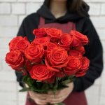 Роза &laquo;Нина&raquo;