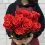 Роза &laquo;Нина&raquo;