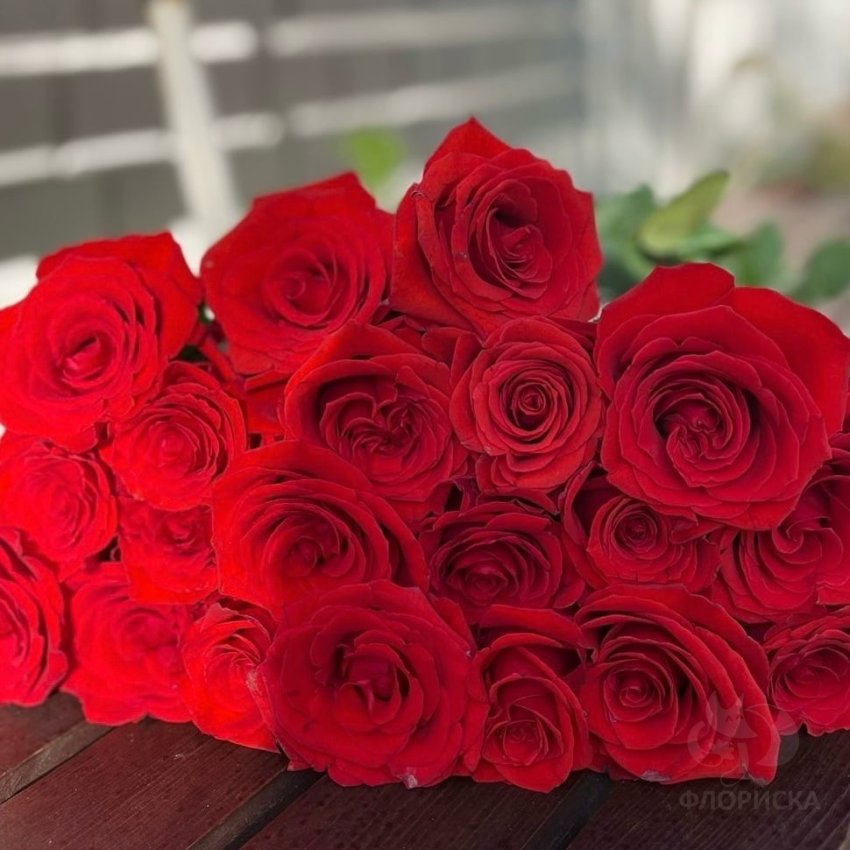 Купить Роза «Freedom» из каталога Красные розы в Сыктывкаре - «Флориска».