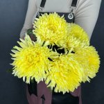 Хризантема одноголовая &laquo;Жёлтая&raquo;