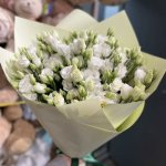 Букет из 11 белых эустом &laquo;Хлои&raquo;