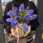 Комбо - предложение &laquo;Серканчик&raquo;