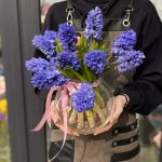 Комбо - предложение &laquo;Серканчик&raquo;