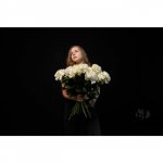 Роза французская &laquo;Белая&raquo;