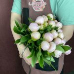 Пион &laquo;Нежно-розовый&raquo;