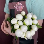 Пион &laquo;Белый&raquo;