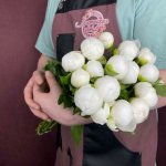 Пион &laquo;Белый&raquo;