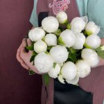 Пион &laquo;Белый&raquo;