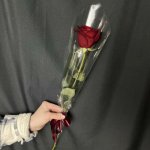 Букет с розой &laquo;Строгость&raquo;