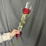 Букет с розой &laquo;Строгость&raquo;
