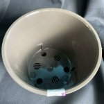 Кашпо &laquo;Латин&raquo;