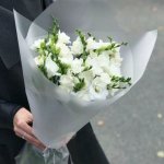 Букет из 17 фрезии &laquo;Невесомость&raquo;