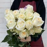 Роза &laquo;Кендилайт&raquo;